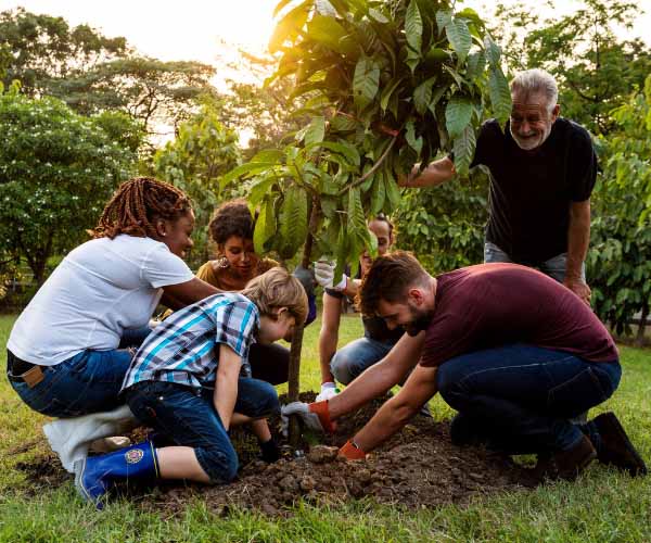 Tree Planting